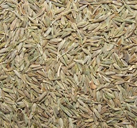 cumin-seeds-gujarat-gandhinagar-western-bio-seeds
